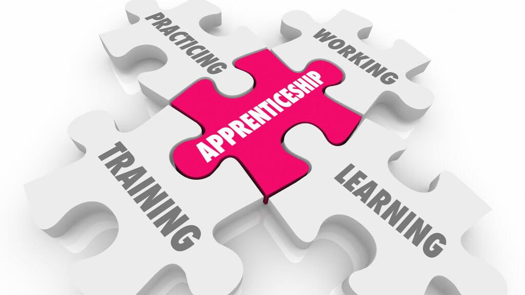 Post Thumbnail - Focus on Skills: Why Apprenticeships Are the Future for Business