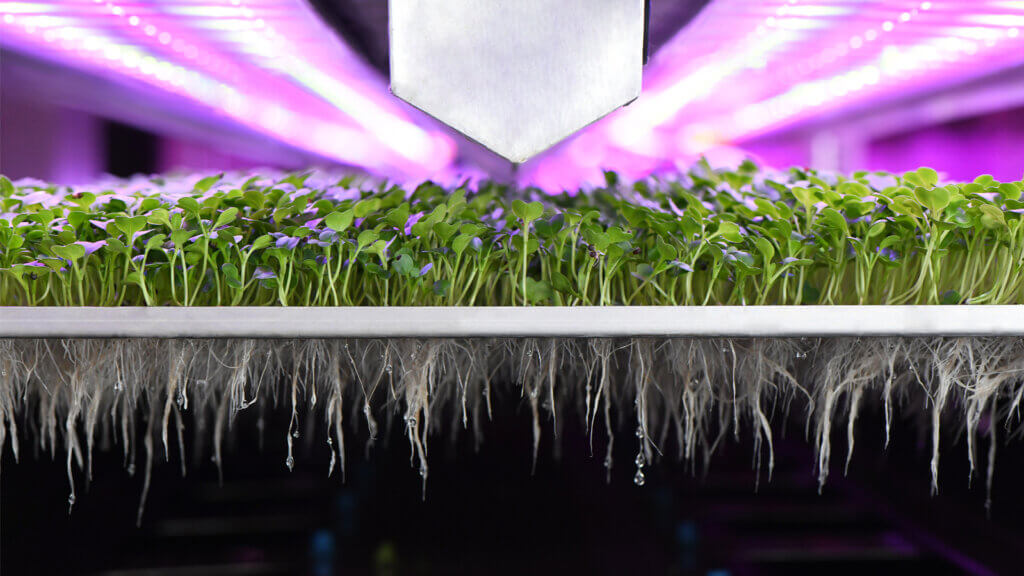 Post Thumbnail - The Vertical Future of Agriculture