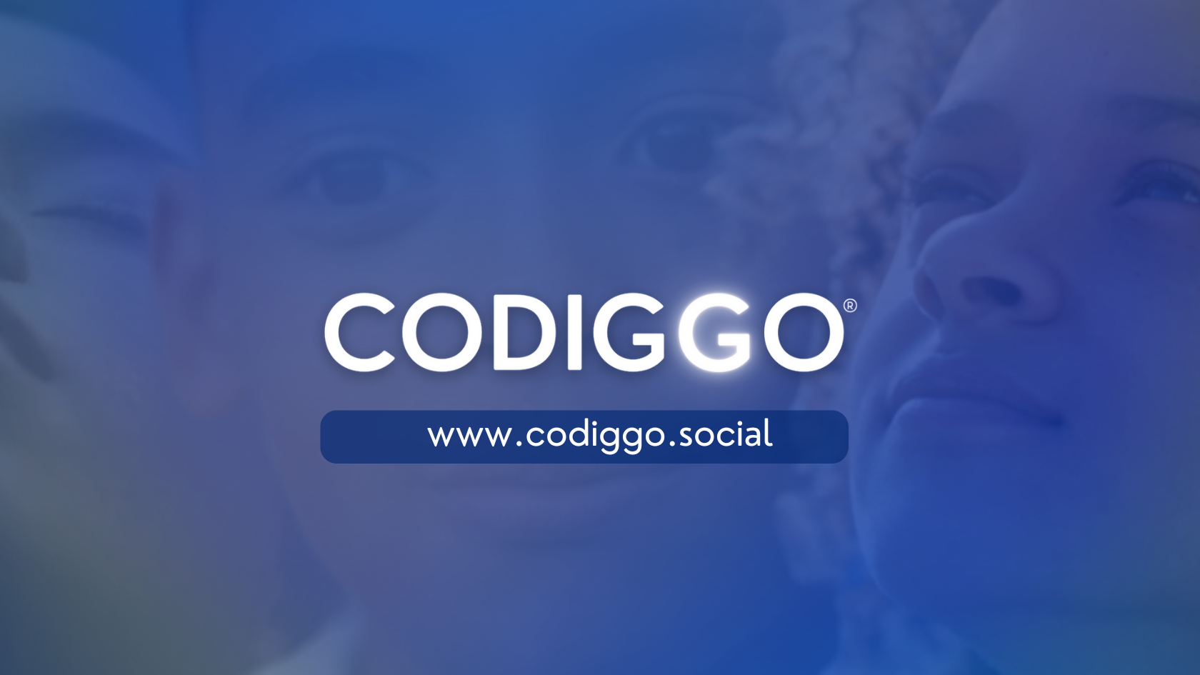 Winner small image - CODIGGO